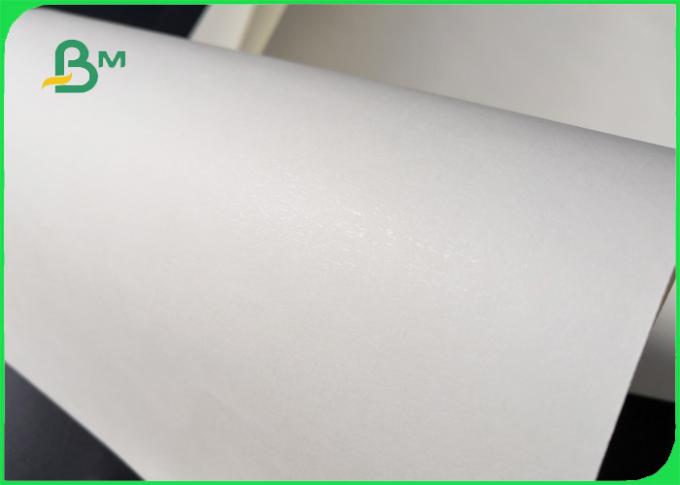 Biodegradable PE 160GSM + 10GSM прокатало бумагу для одностеночного бумажного стаканчика