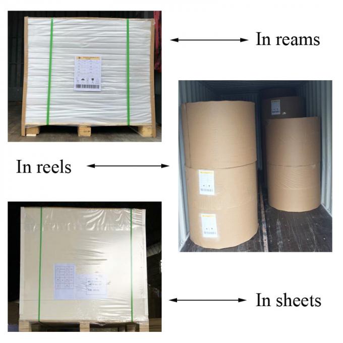 Ункоатед бумага книги тренировки 80ГСМ/смещенная бумага в ширине 900ММ вьюрков