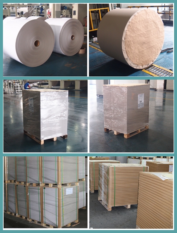 FSC отбелил упаковочную бумагу Kraft бумажную Rolls 36inch 80gsm 120gsm белую