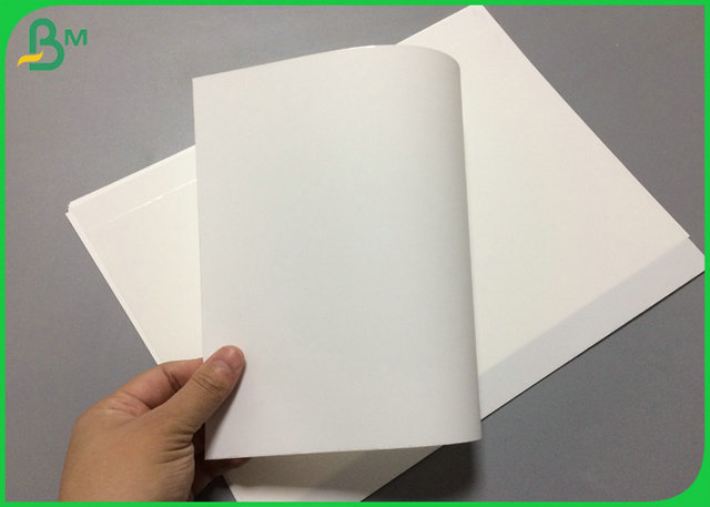 Бумага водоустойчивого белого ЛЮБИМЦА цвета 100um синтетическая с пакетом размера A4