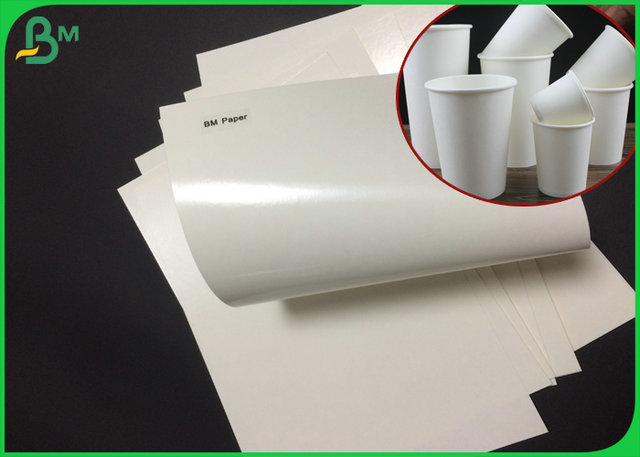Доска чашки ECO 210 230 Grammages низкопробная бумажная покрыла полиэтилен для бумажного стаканчика