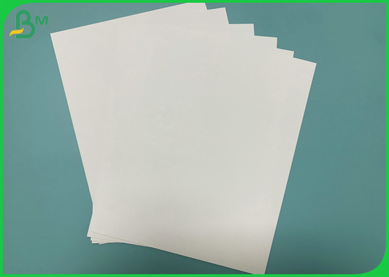 Printable бумага с покрытием PE 190gsm+18PE для произведения качества еды вентилятора чашки
