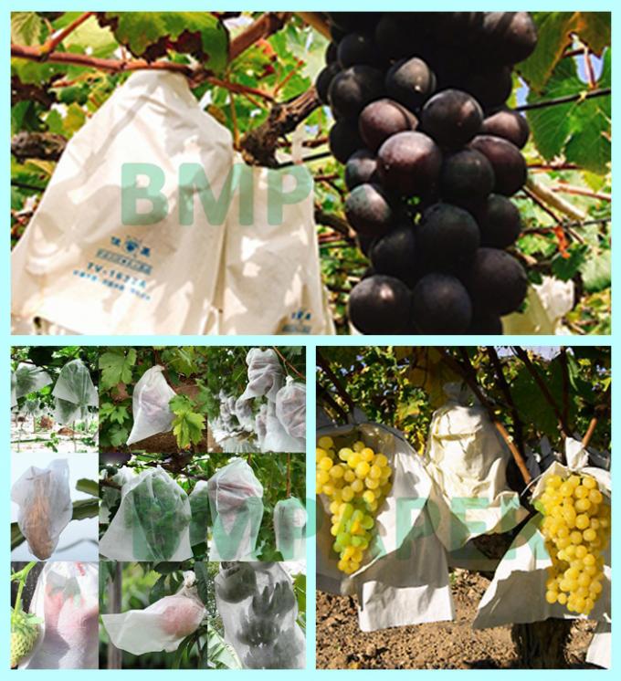 белая виноградина 100mic защитить бумагу 30 x 30cm водоустойчивые и разрыв устойчивый