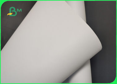 Бумага прокладчика пульпы А0 А1 А2 100% естественная белая для фабрики одежды влагостойкой