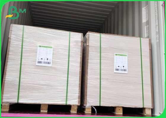 Площадь из необработанной целлюлозы покрытая FBB Ivory Board 305g / 345g Оффсетная печать