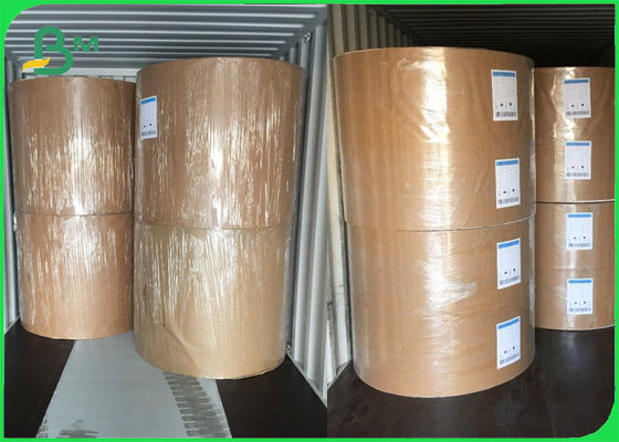 200gsm Food Grade Virgin Kraft Paper Rolls For Lunch Container