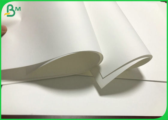 Белизна покрыла синтетические бумажные крены 80um к толстой не бумаге разрыва 350um
