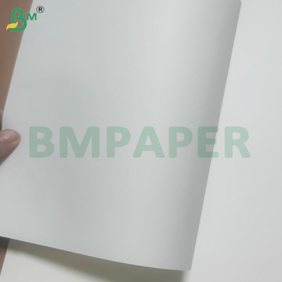 60/120 GSM Сламчатый бумажный рулон для питья с индивидуальными цветами