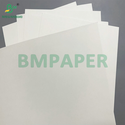 Бумага для мисок с PE-покрытием 190 - 350 г/м², используемая для одноразовых бумажных мисок