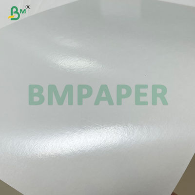 240gsm + 20gsm Biodegradable PLA Coated Cup Base paper in roll