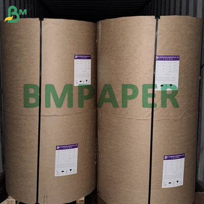 865mm 940mm Food Grade White Cupstock Paper Rolls 150-320gsm + PE Coating