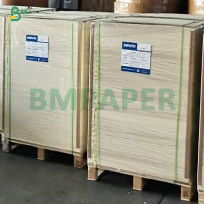 Virgin Wood Pulp Single PE Laminated Disposable Waterproof Cardboard Bowls Paper