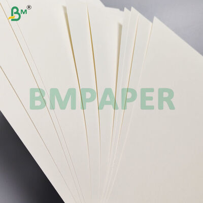 Printable Single Side PE Coated Base Hot Soup Instant Noodle Bowl Paper
