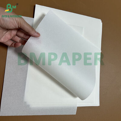 30gsm 40gsm Grease Resistant Cupcake Liners Paper For Baking 8.5 x 11Inch