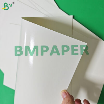 Пищевая бумага 170 - 320 г/м² + 15 г ПЭ для стаканчиков для горячих напитков, герметичная, 870 мм