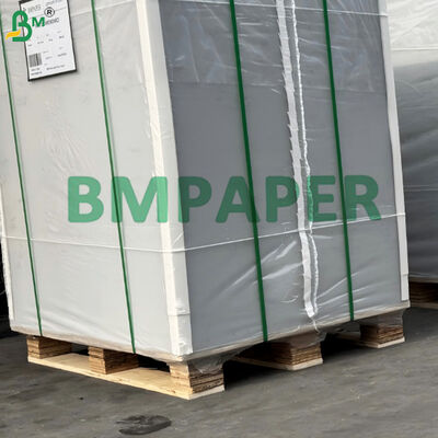 250gsm Fully Coated GC2 White Folding Box Board Manila Back For Bakery Products