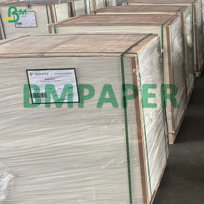 300g Unbleached Sugarcane Bagasse Pulp Sheet for Making Biodegradable Bowl Cup
