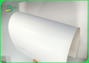 Ширина 700×1000 мм Хорошая гладкость 270 гг. 300 гг. 350 гг. Доска из слоновой кости для упаковки
