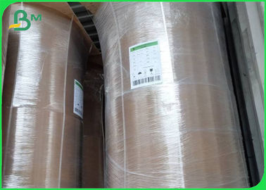 Экологическая бамбуковая Kraft Paper Roll 50GSM - 250GSM