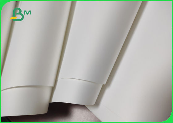 100% дерево - свободная Recyclable синтетическая бумага для бирок ярлыков